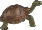 Preview: Wild Safari Wildlife Tierfigur Riesenschildkröte (Giant Tortoise) von Safari Ltd.